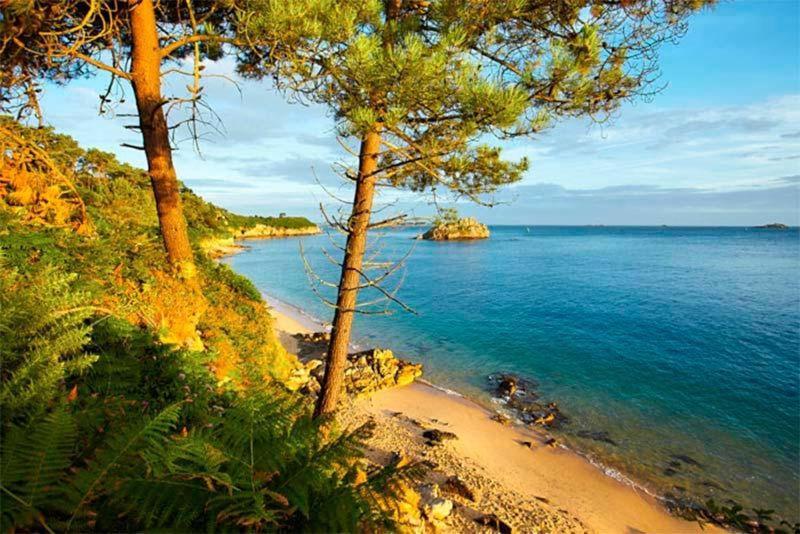 Gite De Charme Entre Terre Et Mer Villa Plougonven Exterior foto